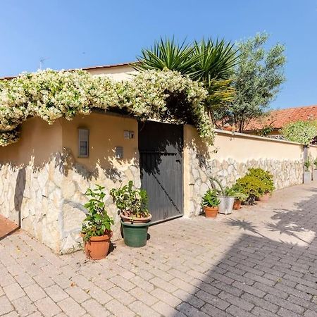 Casa “Oasi Del Mare” Leilighet Livorno Eksteriør bilde